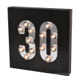 Decorative LED Light for Wall Hanging